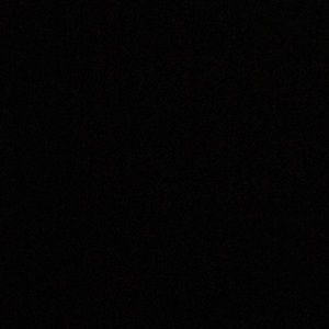 Meet your Posher, Bailey